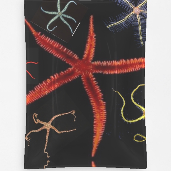 Rectangular Serving Tray - Picture 2 of 7